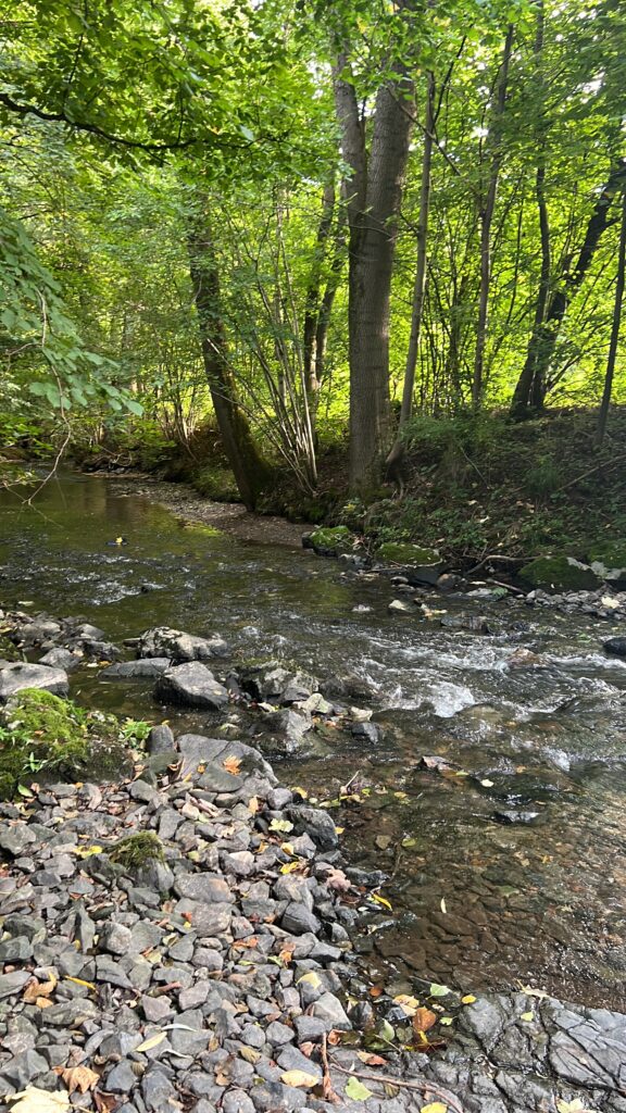 Startseite warme steinach doehlau