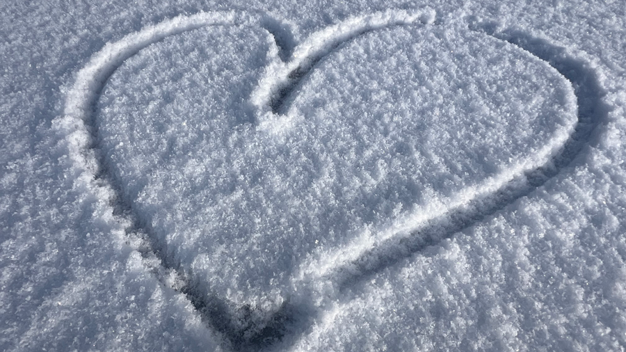 Döhlau-Winterr-2026